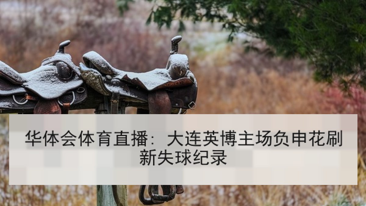 华体会体育直播: 大连英博主场负申花刷新失球纪录