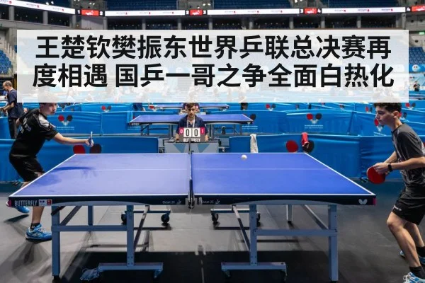 王楚钦樊振东世界乒联总决赛再度相遇 国乒一哥之争全面白热化