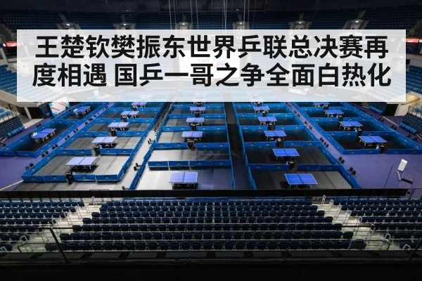 table tennis stadium